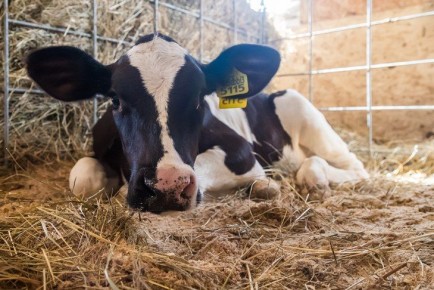 ������������� �������� � �������������� ��������� ������������ �� ������� ����