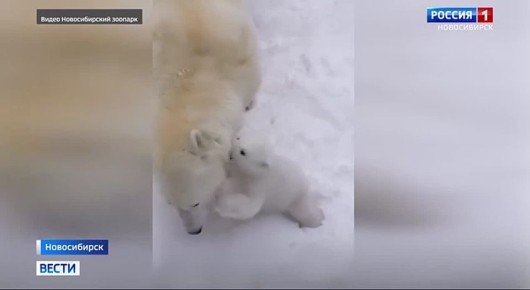 ��� � ����� ����� ��������!