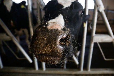 �������� �������� � ������������ �� ����� � ������������ ����������