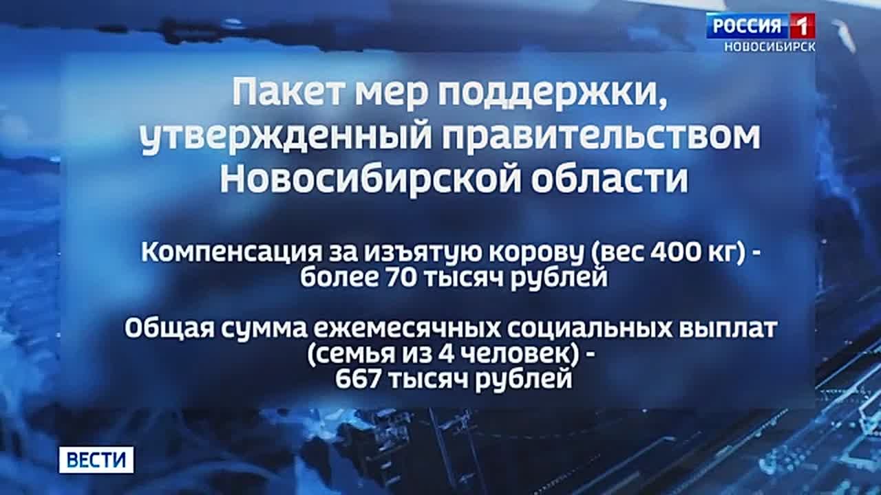 Борьба с инфекцией. В Новосибирской области действует режим ЧС из-за вспышек пастереллёза и бешенства у животных