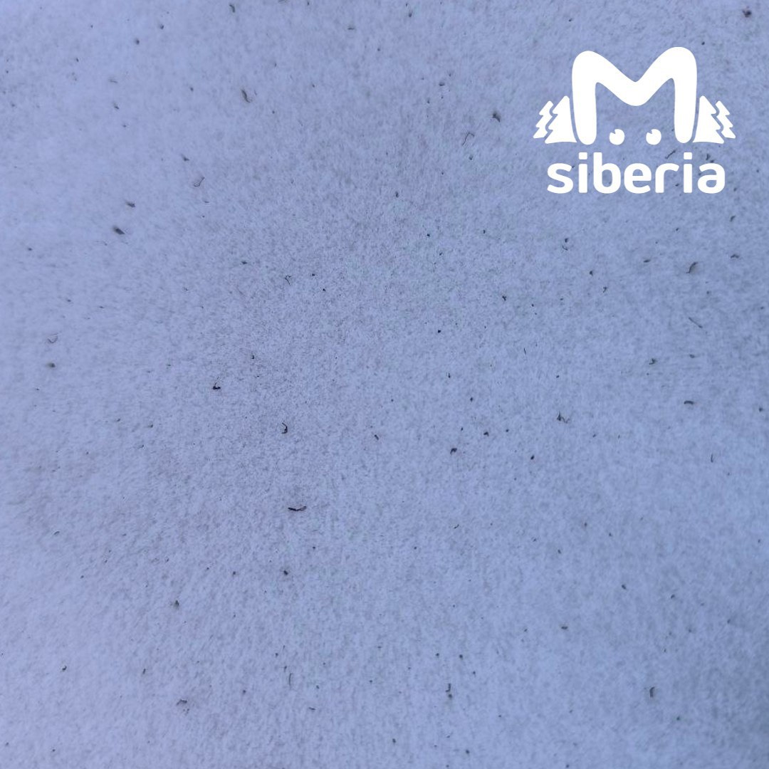 Жители новосибирской "Чистой Слободы" предлагают переименоваться в "Грязную Слободу" из-за жуткой вони Жители новосибирской "Чистой Слободы" предлагают переименоваться в "Грязную Слободу" из-за жуткой вони