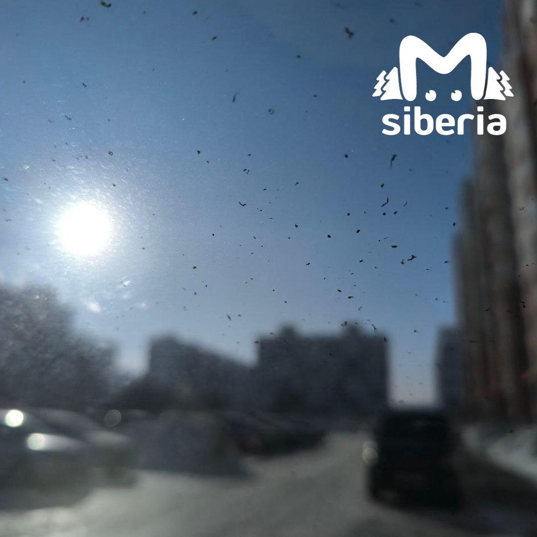 Жители новосибирской "Чистой Слободы" предлагают переименоваться в "Грязную Слободу" из-за жуткой вони Жители новосибирской "Чистой Слободы" предлагают переименоваться в "Грязную Слободу" из-за жуткой вони