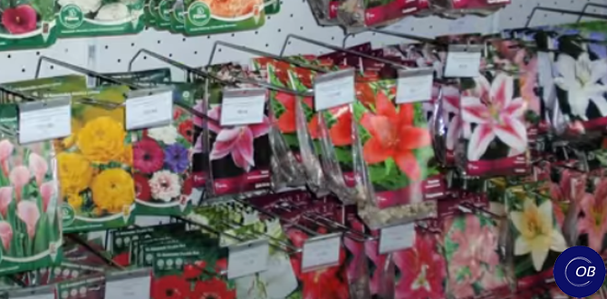 Как сохранить растения до весны: советы для садоводов