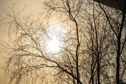 ��������� ����: ������ ������ ������� ������ ��������� ������������ 19 �����