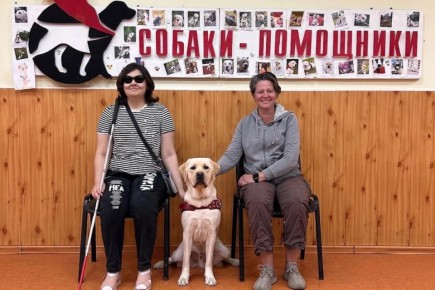 Собак-поводырей подгонят под ГОСТ: комментарий эксперта из Новосибирска