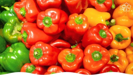 ������� ����� �� �������� ������: ������ ����� ��� ��������� ������