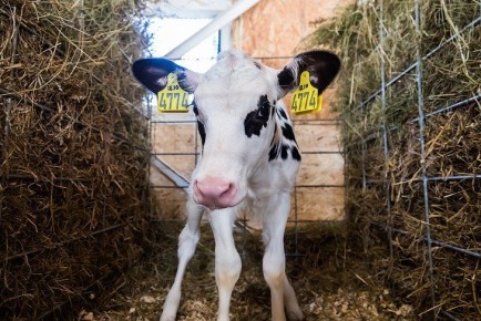 �������� �� ��������� ����� � ������� � �������� ������������� �������