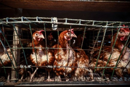 ����� ����������� ������ ��������� �������������� ��� �������������