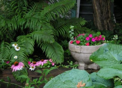 ��� ������� ���������� ��� � �������� ������� ������ �������