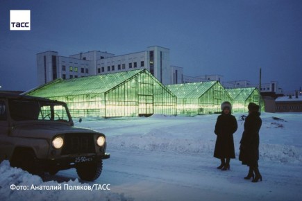 #�����_����_������. ��������� ���� ���������� �� �������