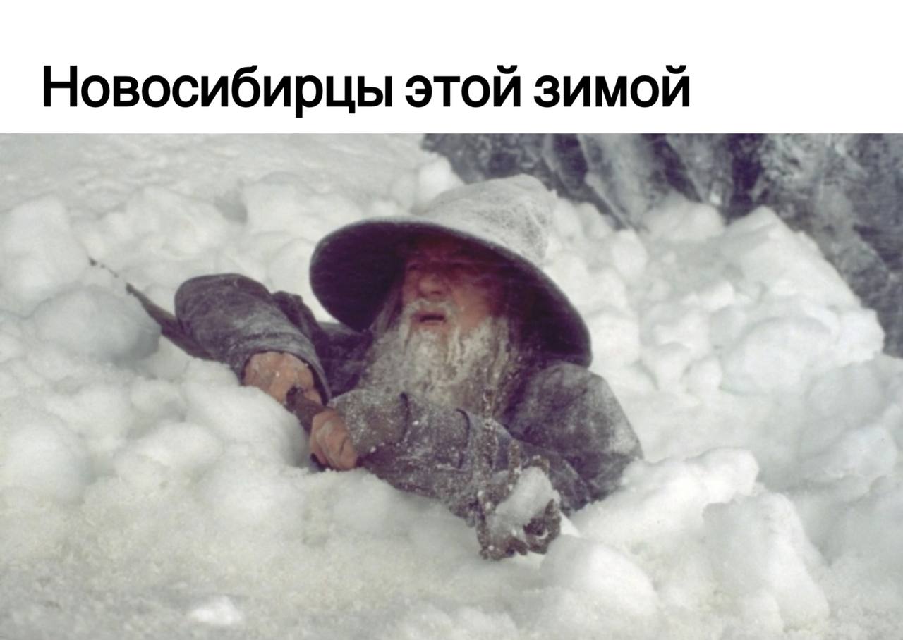 Новосибирск занял первое место!