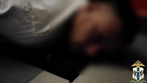 В Новосибирске задержали подозреваемого в распространении порнографии