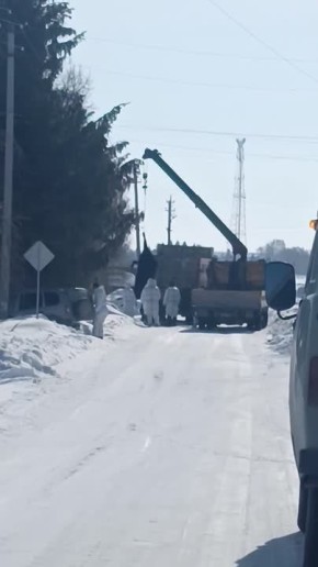 Новосибирские власти объяснили изъятие скота в монастыре деревни Козихи, несмотря на заявления об окончании всех мероприятий