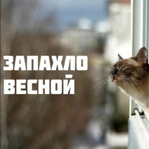 �����! ������� ������� � ����� � ������