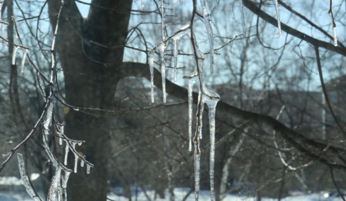 � ��� ��������� ���� � ������������ �1, ������� ������ � ������ � ���������� ��������� ��� �6. ���� ������ ���������� �� +3, �� ����� �� �������