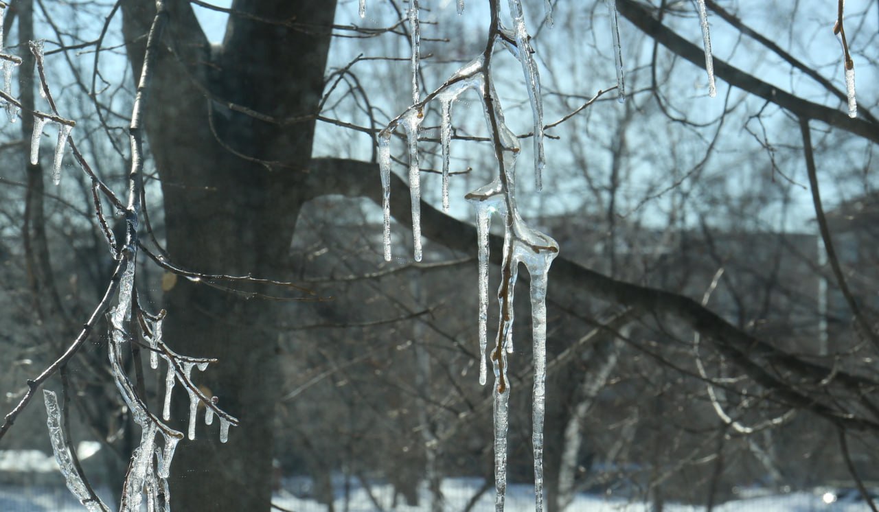 В это субботнее утро в Новосибирске –1, которые вместе с ветром и влажностью ощущаются как –6. Днём воздух прогреется до +3, но ветер не утихнет