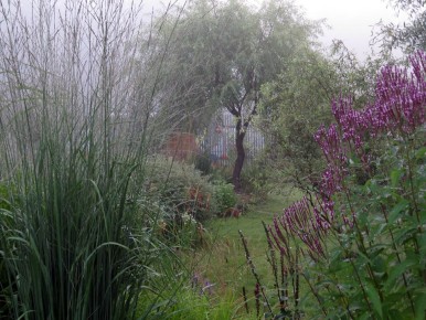 ������� �����������: ���������� ����������� ��� ������ ����