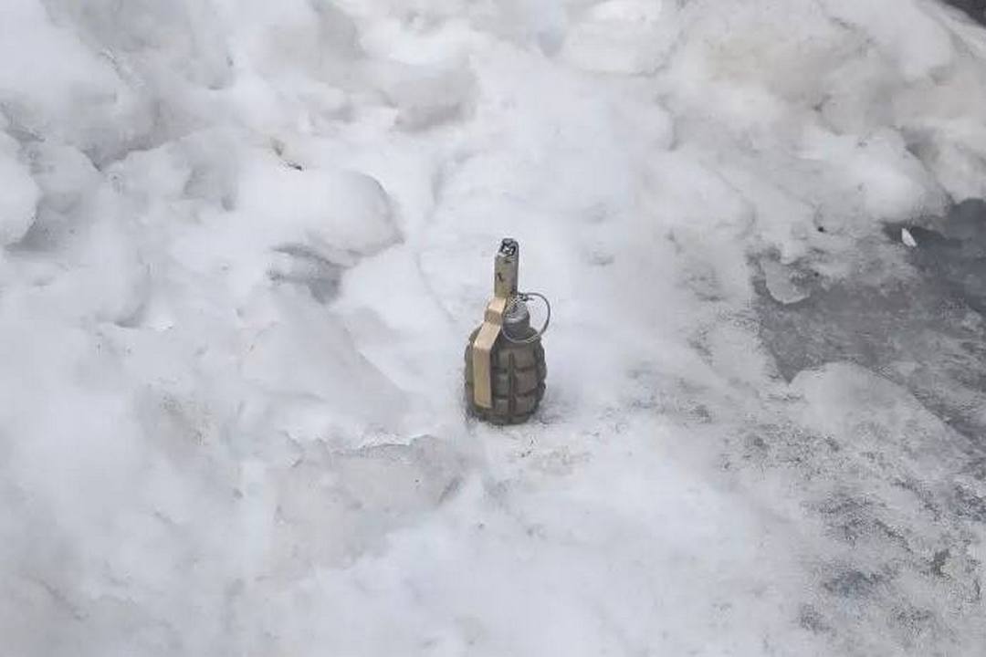 Под Новосибирском на остановке нашли макет гранаты Под Новосибирском на остановке нашли макет гранаты