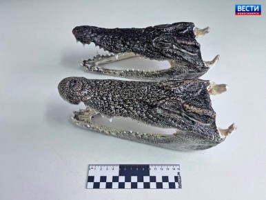 ���������� ������. ����������� �� �������� 36-������ ��������� ����� �������� ��� ������ ��������� � �������� ��������� ��� ����� ���������