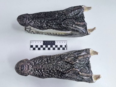 ������ ��������� � �������� ��������� �� �������� ���������� ������������� �����������