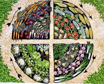 Севооборот в агрономии: ключ к здоровой почве и высокому урожаю