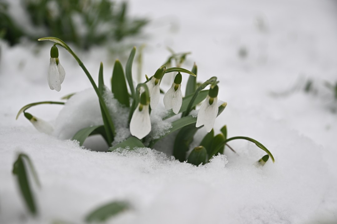 Теплые весенние деньки все ближе