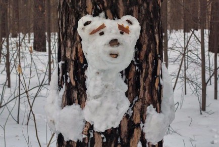 ������� ������ �� 24-27 ����� � ������������ ������� ���������