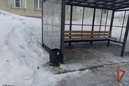 Макет гранаты на остановке обнаружил житель Линева в Новосибирской области — сотрудники Росгвардии обследовали предмет и передали полиции