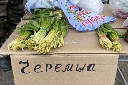 ������� �� 200 ������ ������ ��������� � ������������