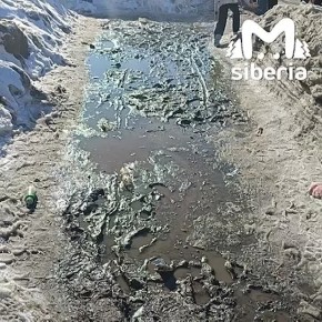 ������� ������ ����������� �� ���������� � ������������ ������������ � ������