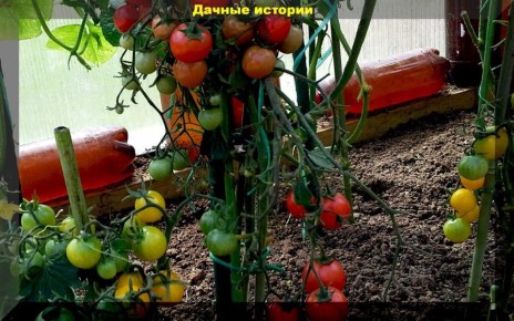 ����������� ������� ���������� ������ �������: ����������� �������������� ������