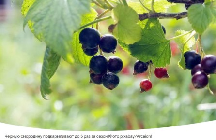 ��� ������, ����� � ������ ��������� ������������� ��������� ��� �������� ������