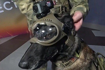 Четвероногие спецназовцы в Новосибирске получили умные гаджеты!