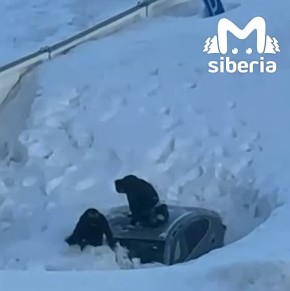 ���� ���������� ��������� ������ � ����� � ������������� "��������"