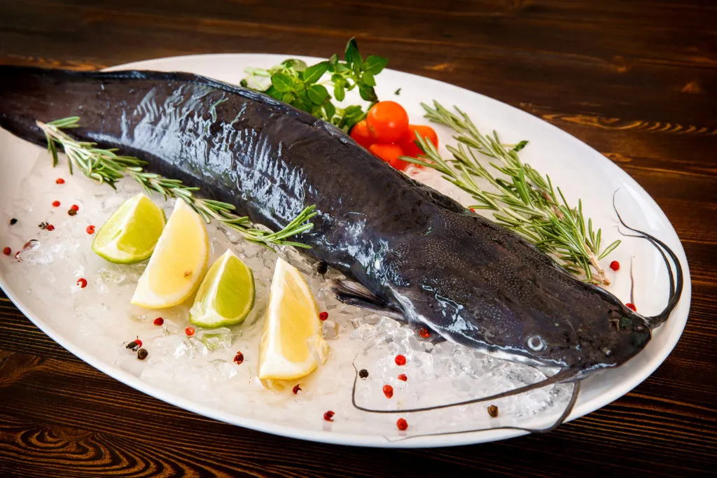 Опасные и полезные виды рыбы для здоровья после 60 лет