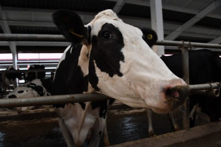 ����� ��������� �� ������� �� ������� ����� ��������� � ������������� �������