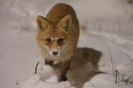 � 23 ����� � ���� ������� ���� ���������� ������ ���������� �������� �� ���������