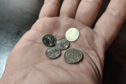 Цены растут, но медленнее: инфляция в Новосибирской области замедляется