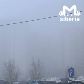 ���� ����� ������� ����������� ���������� �������� � ������������