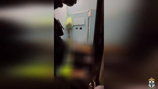 ���������������� ���������