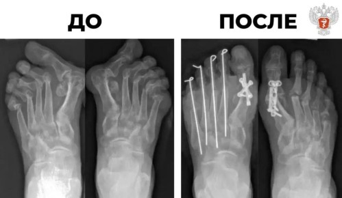 ����������� ������������ ������ ��������� ������ ������� ������������� ��������������� ����