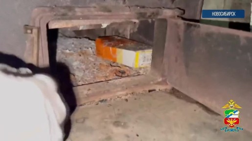 Новосибирская транспортная полиция ликвидировала канал нелегальной миграции иностранцев в Россию