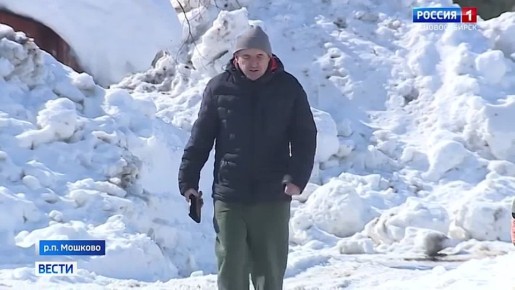 Раны заживают. Бездомный пёс по кличке Бобрик, в которого выстрелили из ружья в посёлке Мошково Новосибирской области, уже идёт на поправку