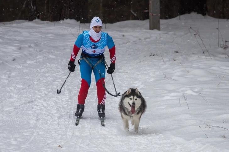 Прощай, лыжня: в парках Новосибирска официально закрывают зимний сезон