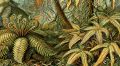 Папоротники: удивительные растения с богатой историей и мифами
