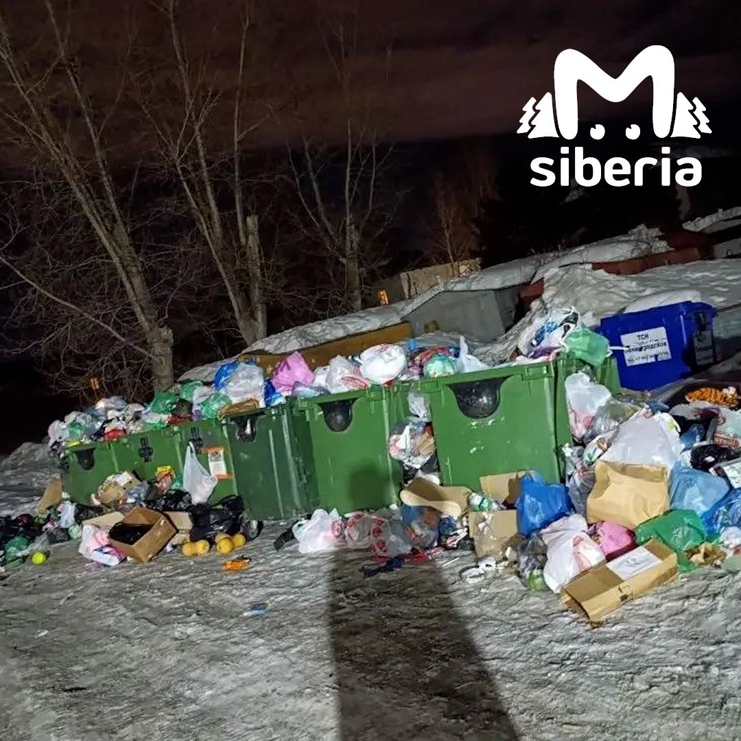 Крысы поселились на горах мусора в Новосибирске Крысы поселились на горах мусора в Новосибирске