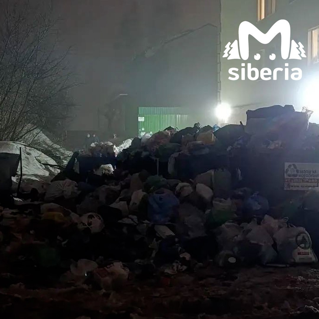 Крысы поселились на горах мусора в Новосибирске Крысы поселились на горах мусора в Новосибирске