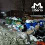 Крысы поселились на горах мусора в Новосибирске