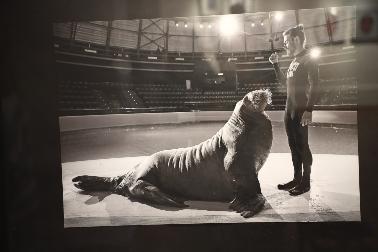 объективе — Новосибирск: выставка художественных фото заработала в ЦК19 объективе — Новосибирск: выставка художественных фото заработала в ЦК19