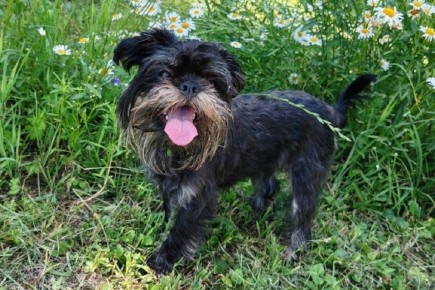 ������������ �������� ������ ������������ �������� �� ������